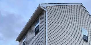 Best Brick Veneer Siding  in Hidalgo, TX